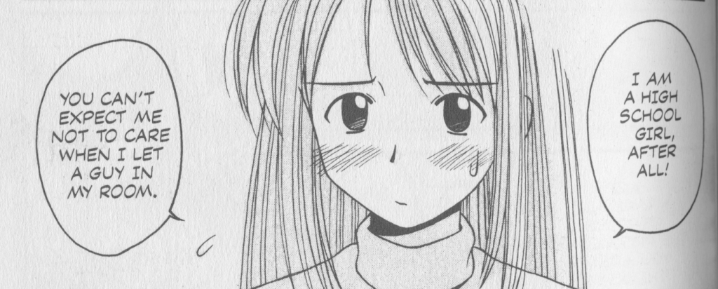 Love Hina Book 1 - She is a high school girl